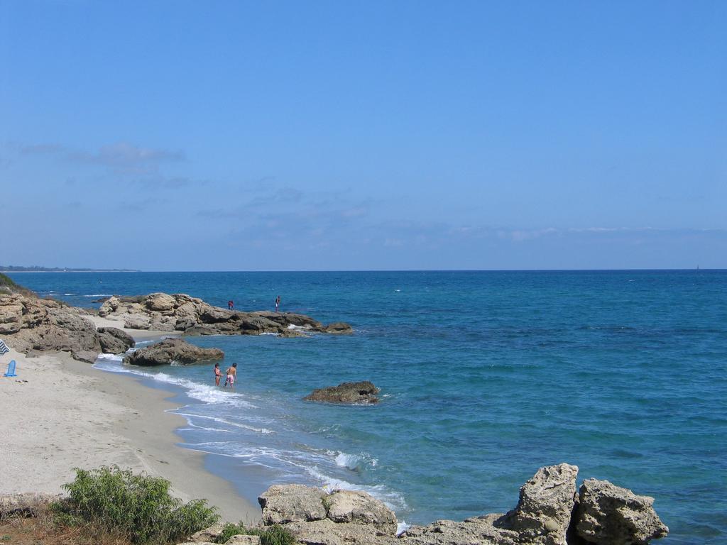 Le Clos Des Arbousiers Linguizzetta Esterno foto