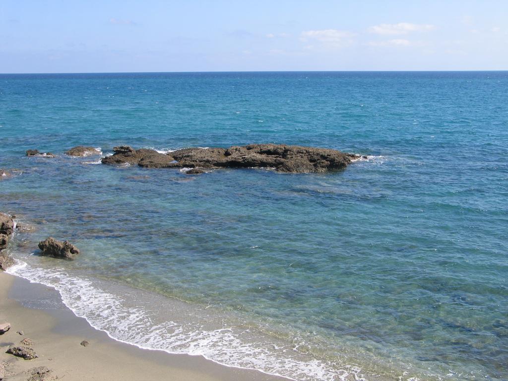 Le Clos Des Arbousiers Linguizzetta Esterno foto